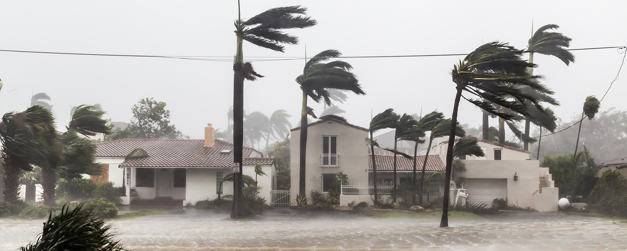 A home is shown, as heavy rain falls and high winds blow palm trees strongly. 