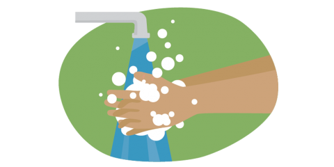 Illustration of two hands being washed with soap under a faucet. 
