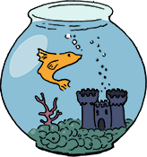 fish tank