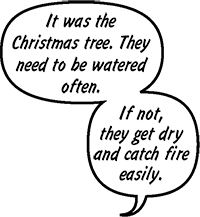 FIREFIGHTER: It was the Christmas tree. They need to be watered often. If not, they get dry and can catch fire easily. 