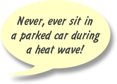 RAY: Never, ever sit in a parked car during a heat wave!