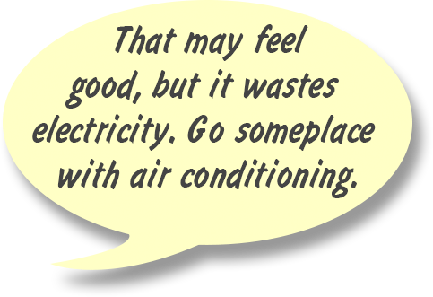 RAY: That may feel good, but it wastes electricity. Go someplace with air conditioning.