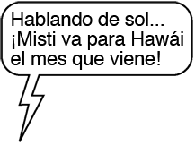 MENSAJE DE MENSAJE DE TEXTO DE RAY: Hablando de sol...¡Misti va para Hawái el mes que viene!