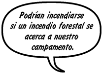 GAYLE: Podrían incendiarse si un incendio forestal se acerca a nuestro campamento.