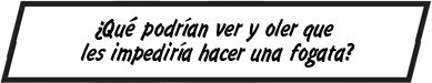 ¿Qué podrían ver y oler que les impediría hacer una fogata?