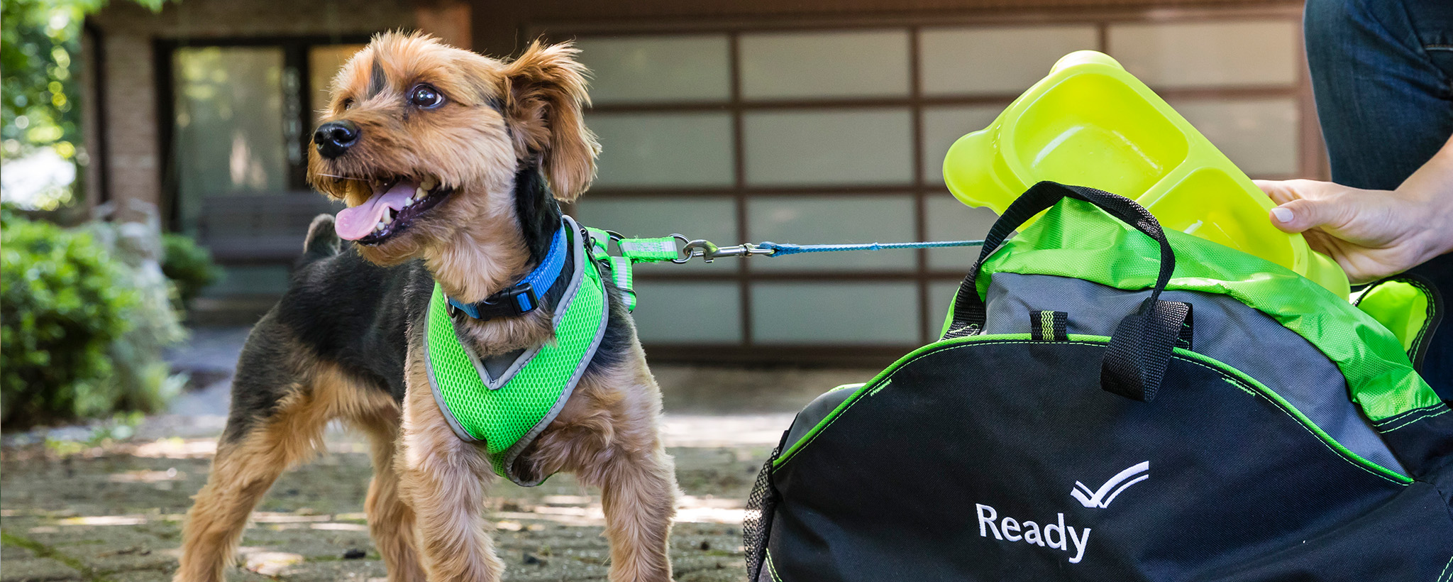 Prepare Your Pets for Disasters