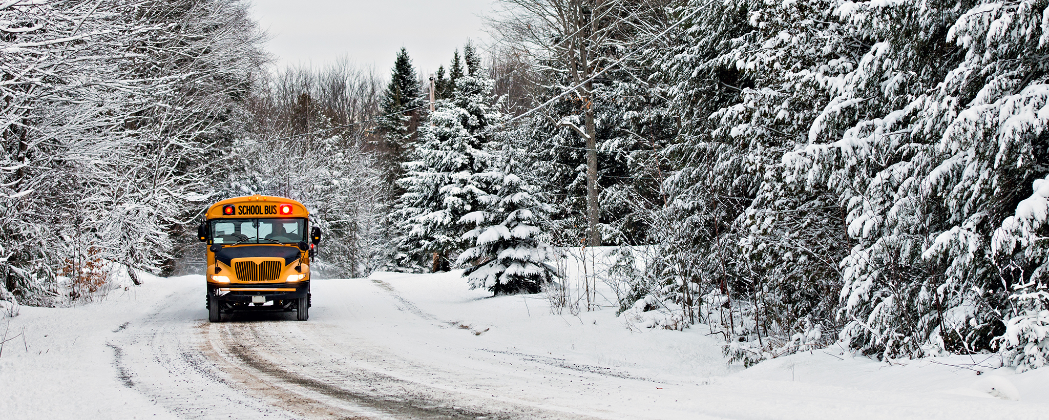 a school bus approaching on a snowy road surrounded by snow covered trees. 