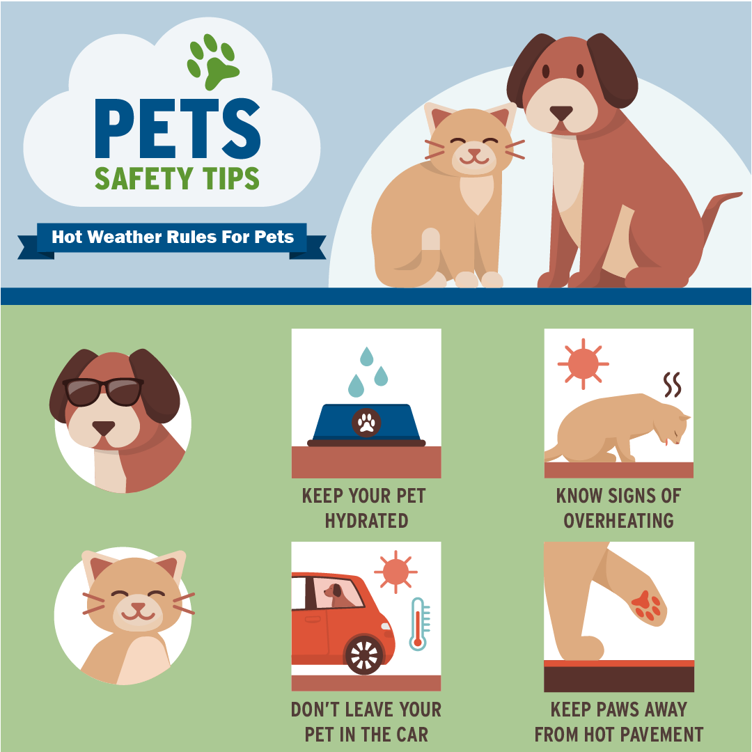 Free pet safety samples