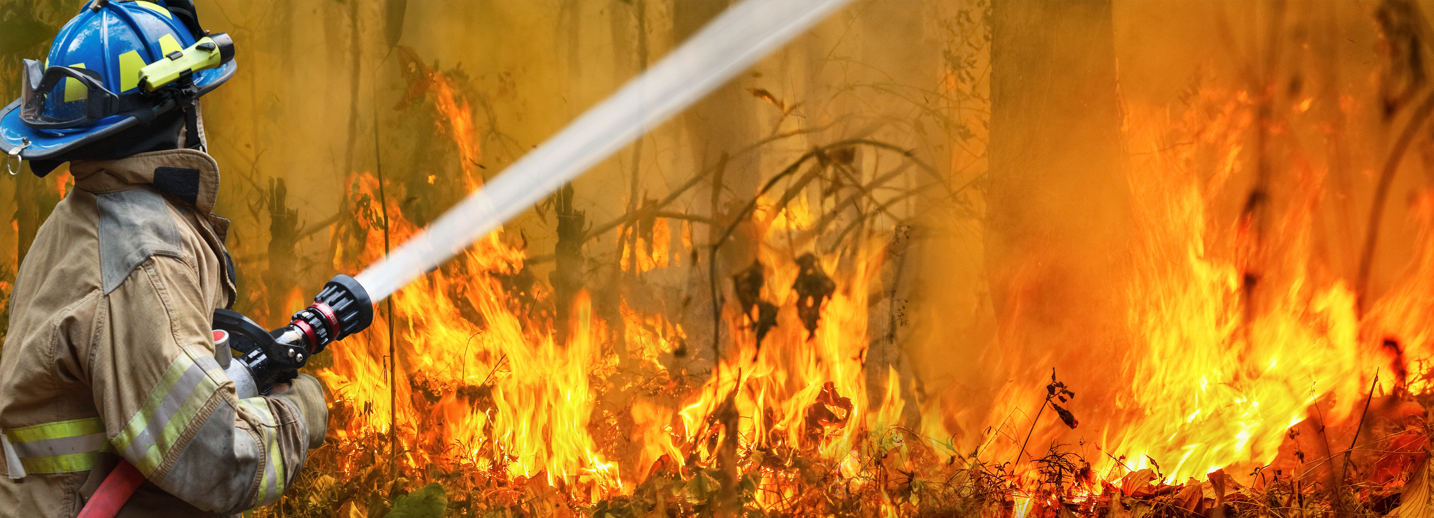 firefighter fighting a wildfire