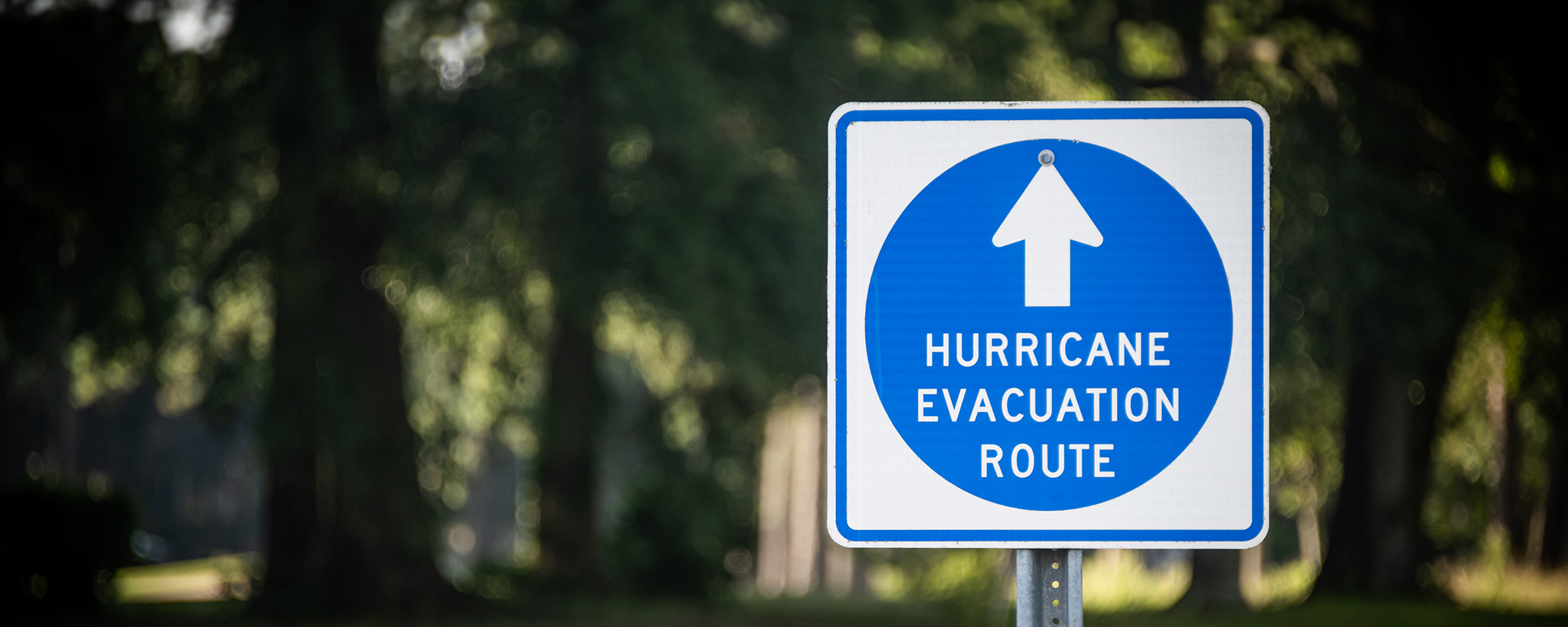 Evacuation route sign 
