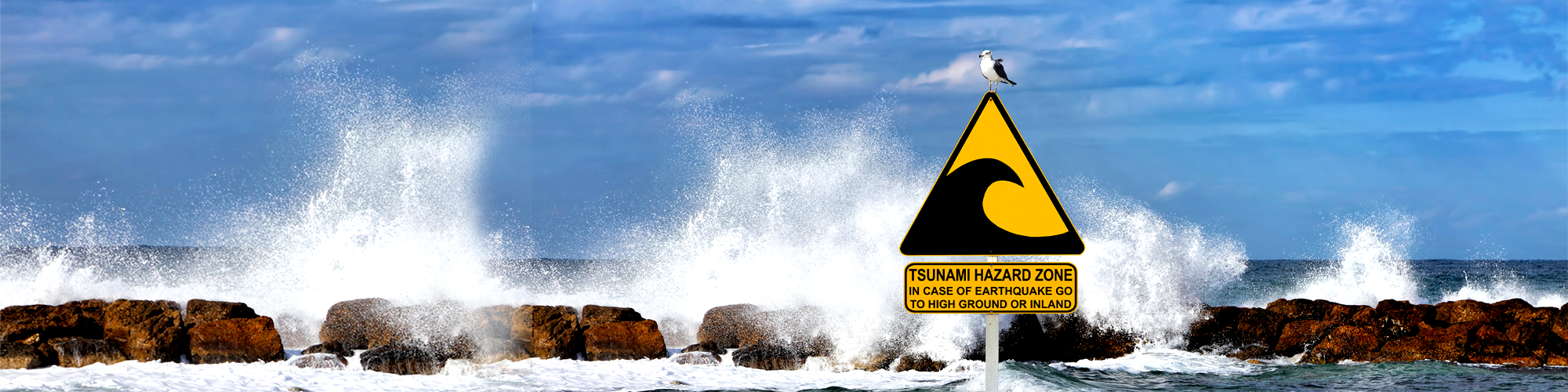 A tsunami evacuation and warning sign in front of the ocean. 