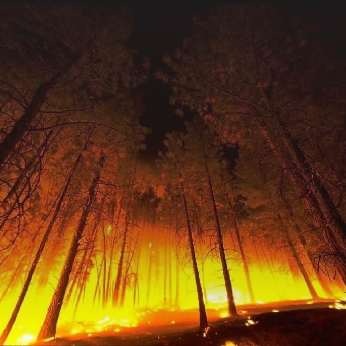 Photo of a forest at night with the red-orange glow from a wildfire.
