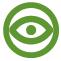 eyeball icon