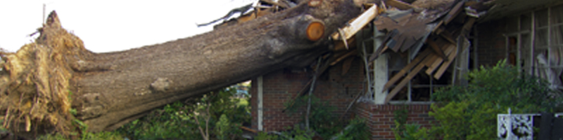 April 27th, 2011. A large, fallen tree lays upon a destroyed single family home's roof.