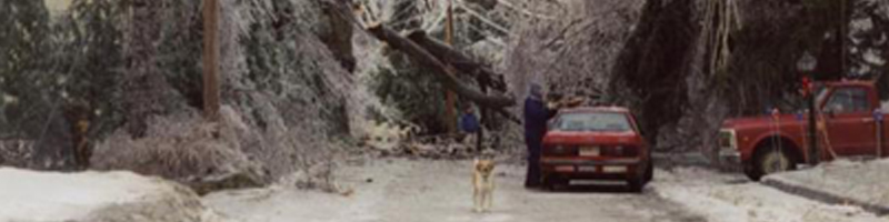 Maine 1/7/1998 - Streets and trees are completely covered with a layers of ice and snow. Photo credit - Hubbard Free Library