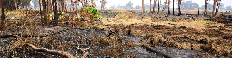 July 14th, 2004. Fire engulfs the desert grass. July 14th, 2004. Fire engulfs the desert grass.