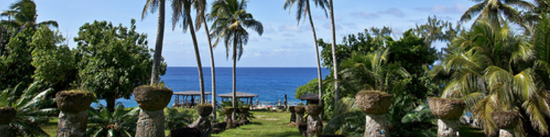 August 22nd, 2004. Palm trees and stones with the ocean in the background. August 22nd, 2004. Palm trees and stones with the ocean in the background.