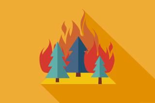 Illustration of a wildfire
