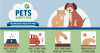 Illustration of a cat and a dog. Pet Safety Tips. Hot Weather rules for Pets. Keep your pet hydrated, don't leave your pet in the car, keep paws away from hot pavement, know signs of overheating. 