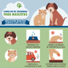 Ilustración de un gato y un perro. Consejos de seguridad para mascotas. Reglas de clima cálido para mascotas. Mantenga a su mascota hidratada, no deje a su mascota en el automóvil, mantenga las patas alejadas del pavimento caliente, conozca las señales de sobrecalentamiento.