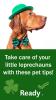 A dog wearing a green hat and bowtie. Take care of your little leprechauns with these pet tips. 