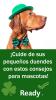 Un perro con sombrero verde y corbatín. Cuide de sus pequenos duendes con estos consejos para mascotas!