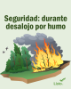 El gráfico muestra la imagen de un incendio forestal. El texto dice: Evacuación: Seguridad contra el humo.
