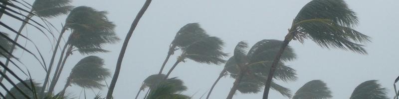 August 23rd, 2004. Trees are bending due to the strong winds. August 23rd, 2004. Trees are bending due to the strong winds.